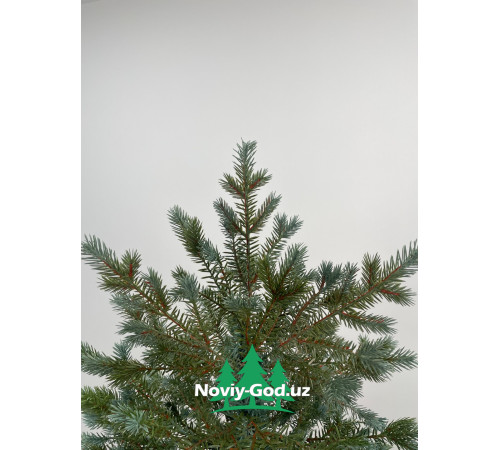 Искусственная новогодняя елка "Голубая ель", размер - 180-300см. Гелиевая, литая. Премиум класс.